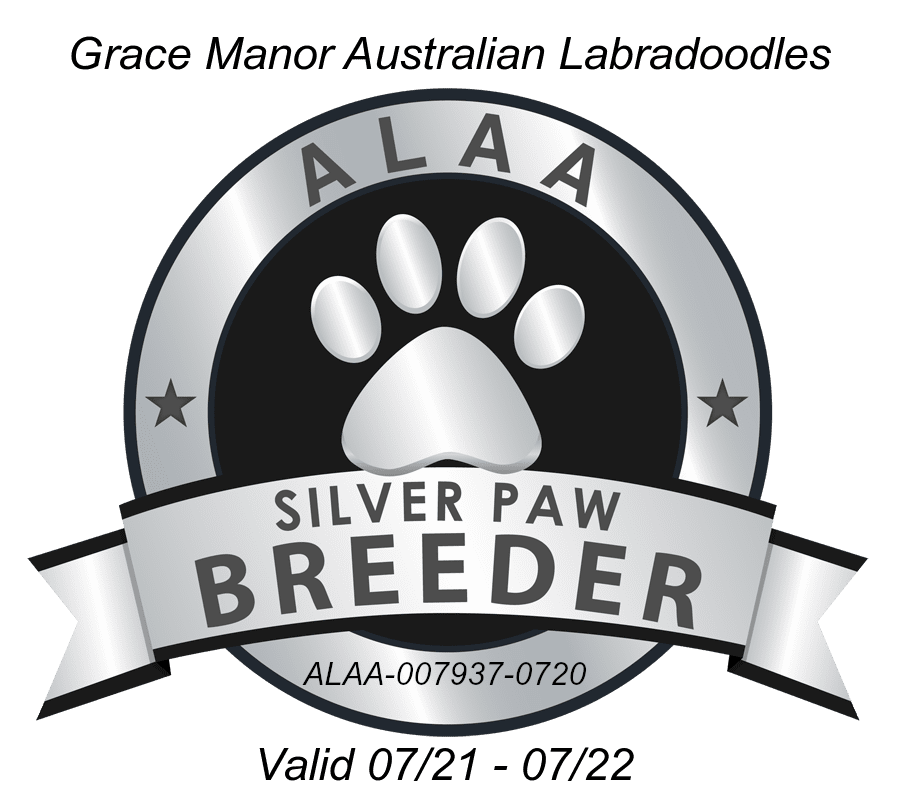 Grace Manor Silver Paw 2021